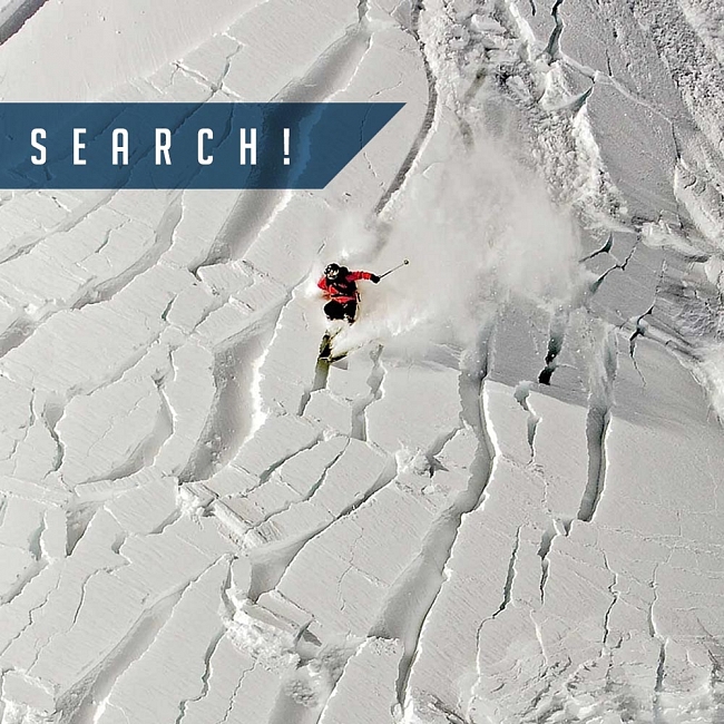 SEARCH! – Real Avalanchetraining